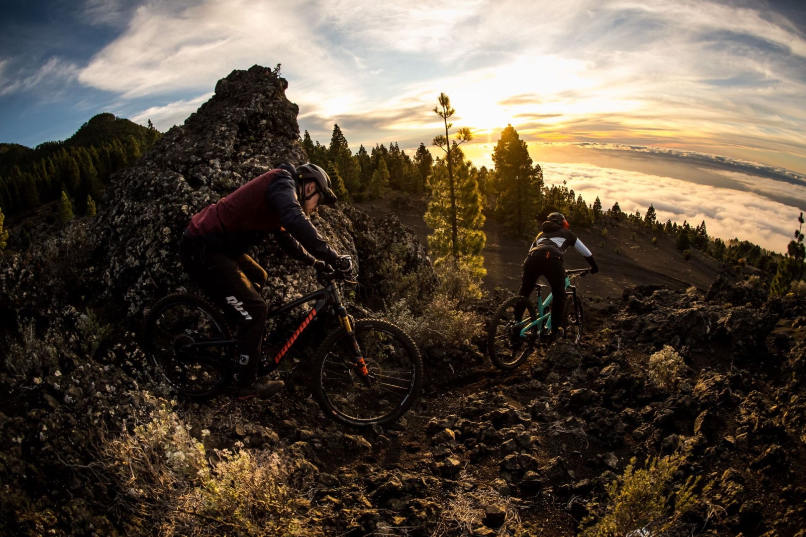 PROPAIN-Tyee-CF-MY2020-Panorama-LaPalma-PDS-v2