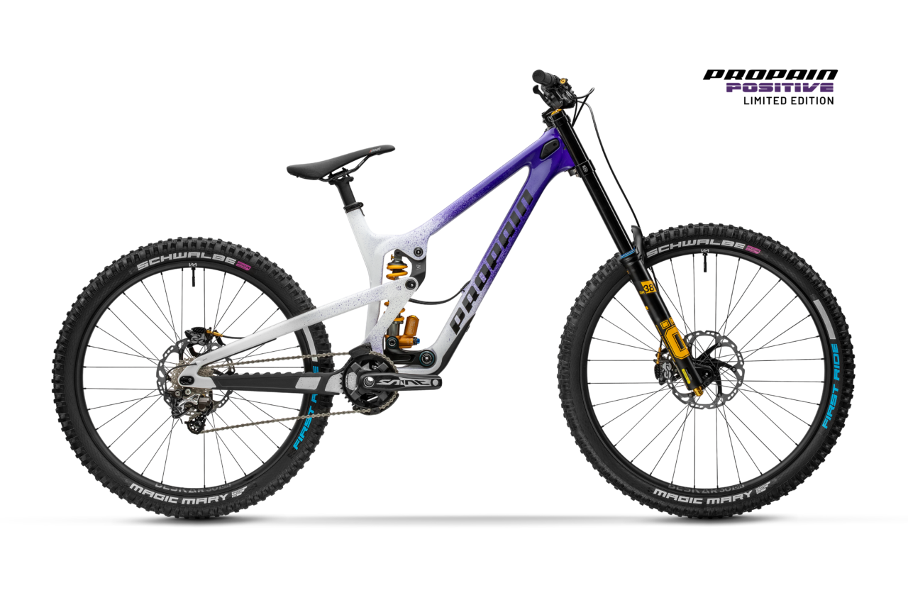 Propain dh bike sale